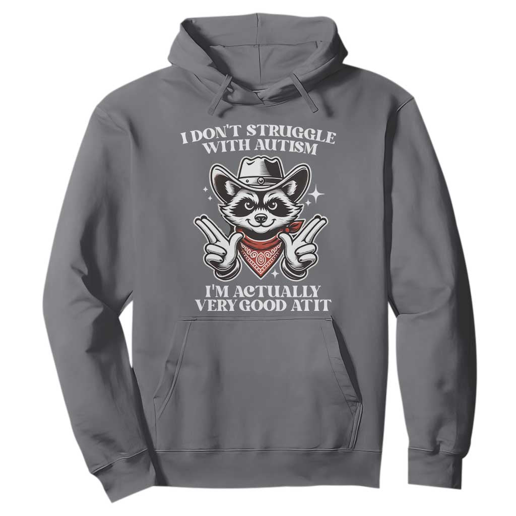 Funny Autistic Raccoon Hoodie I Don't Struggle With Autism