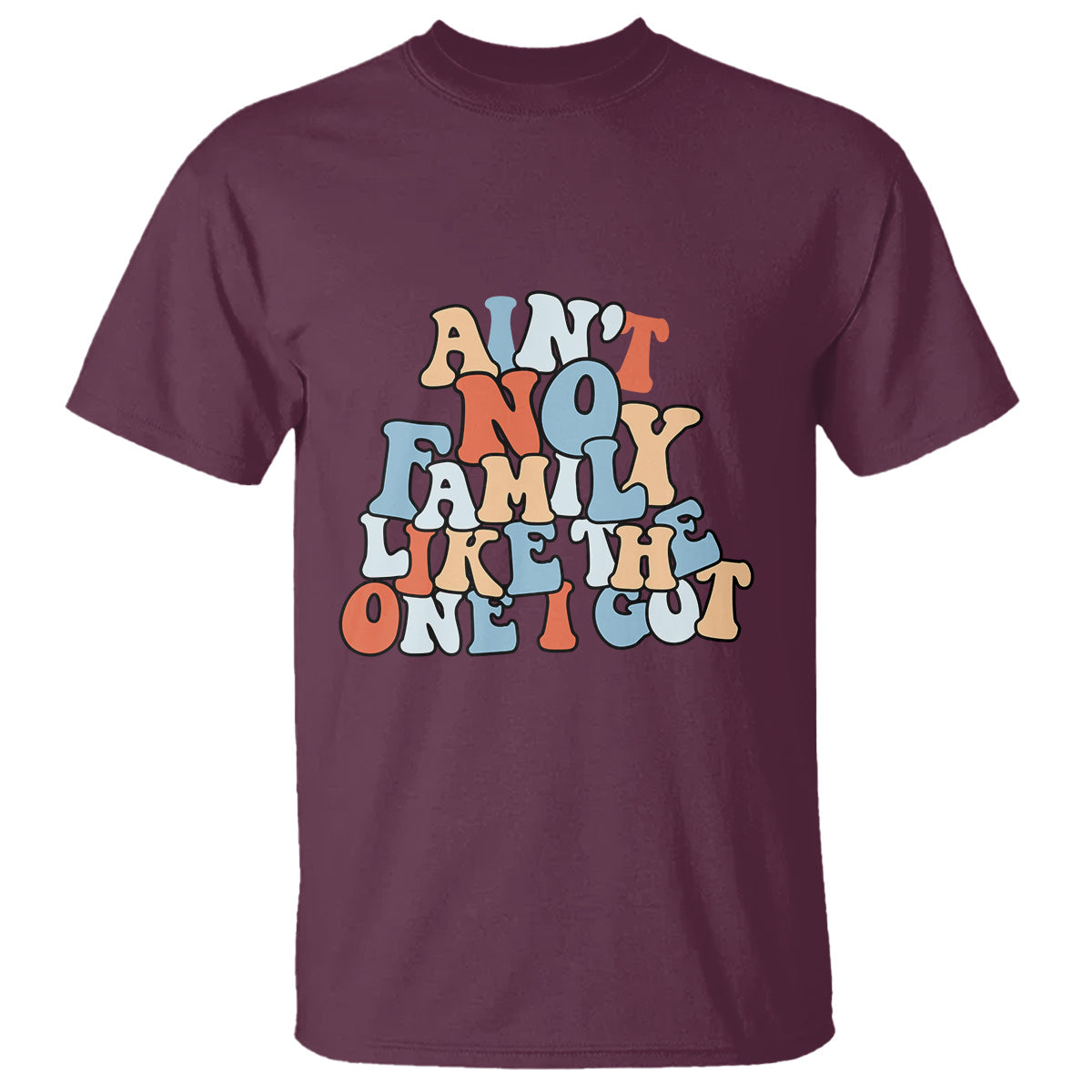 family-reunion-t-shirt-aint-no-family-like-the-one-i-got-funny