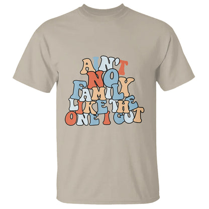 family-reunion-t-shirt-aint-no-family-like-the-one-i-got-funny