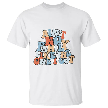 family-reunion-t-shirt-aint-no-family-like-the-one-i-got-funny