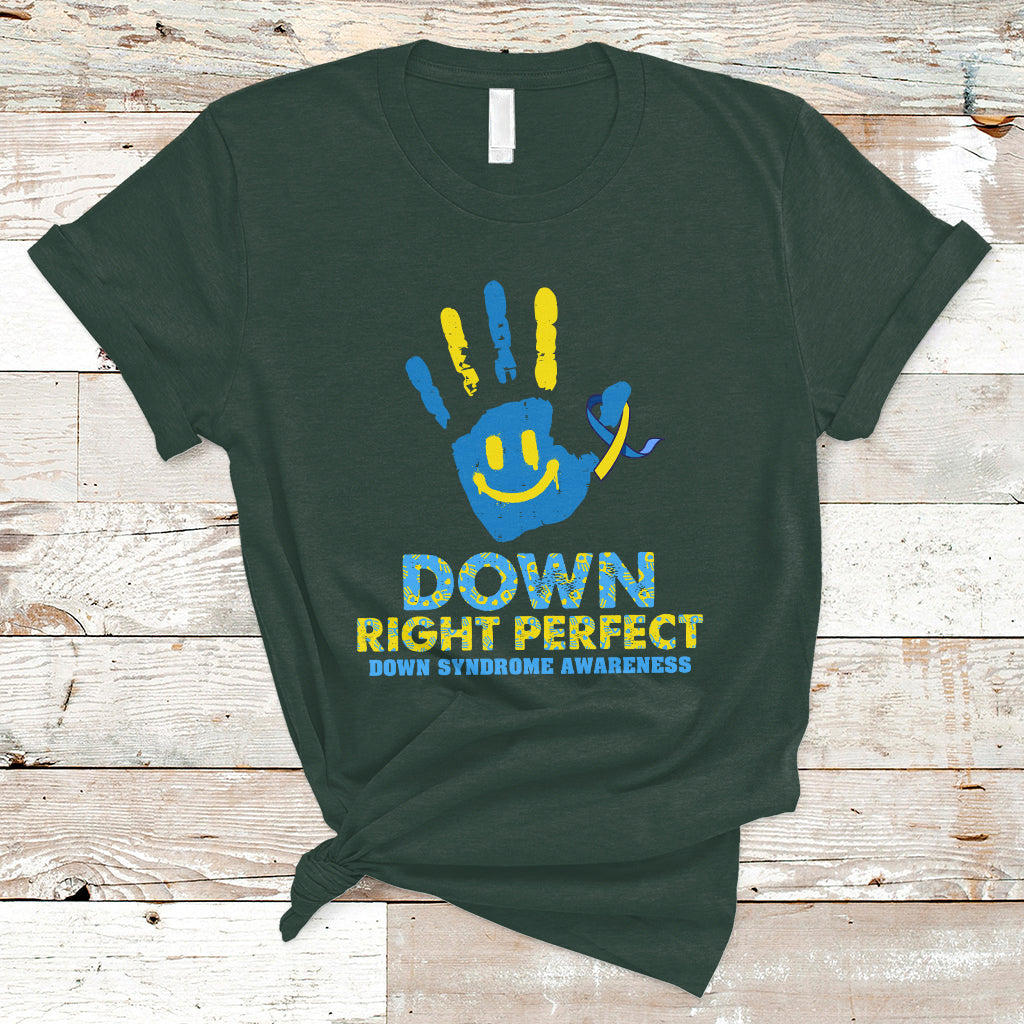 down-right-perfect-down-syndrome-awareness-inspirational-trisomy-21-extra-chromosome-down-syndrome-shirt-t-shirt-ts02
