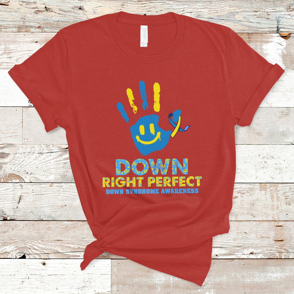 down-right-perfect-down-syndrome-awareness-inspirational-trisomy-21-extra-chromosome-down-syndrome-shirt-t-shirt-ts02