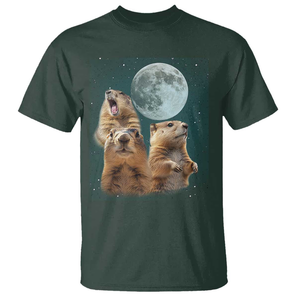 funny-three-groundhog-meme-t-shirt-woodchucks-under-the-moon