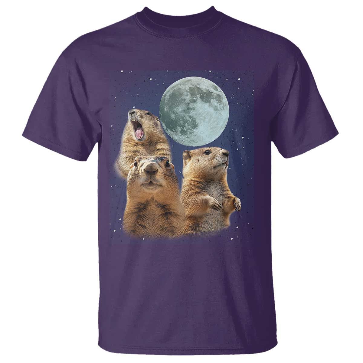 funny-three-groundhog-meme-t-shirt-woodchucks-under-the-moon