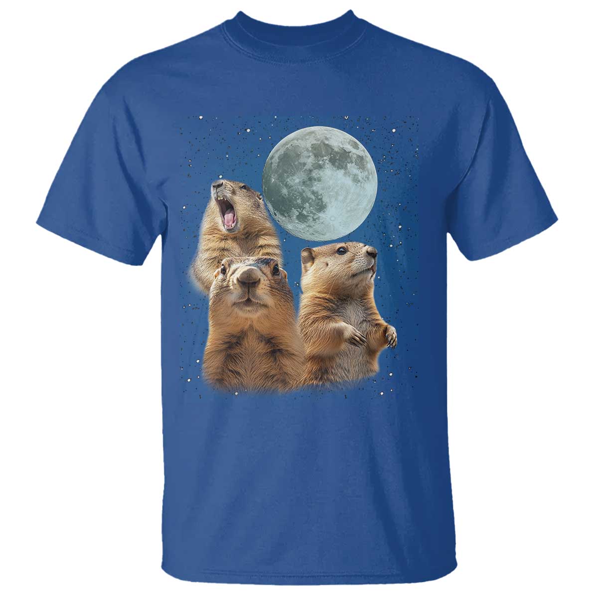 funny-three-groundhog-meme-t-shirt-woodchucks-under-the-moon