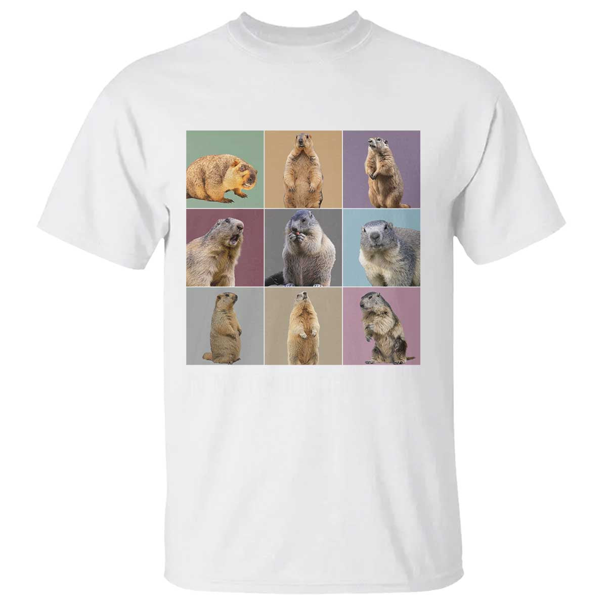 in-my-groundhog-era-t-shirt-funny-woodchuck