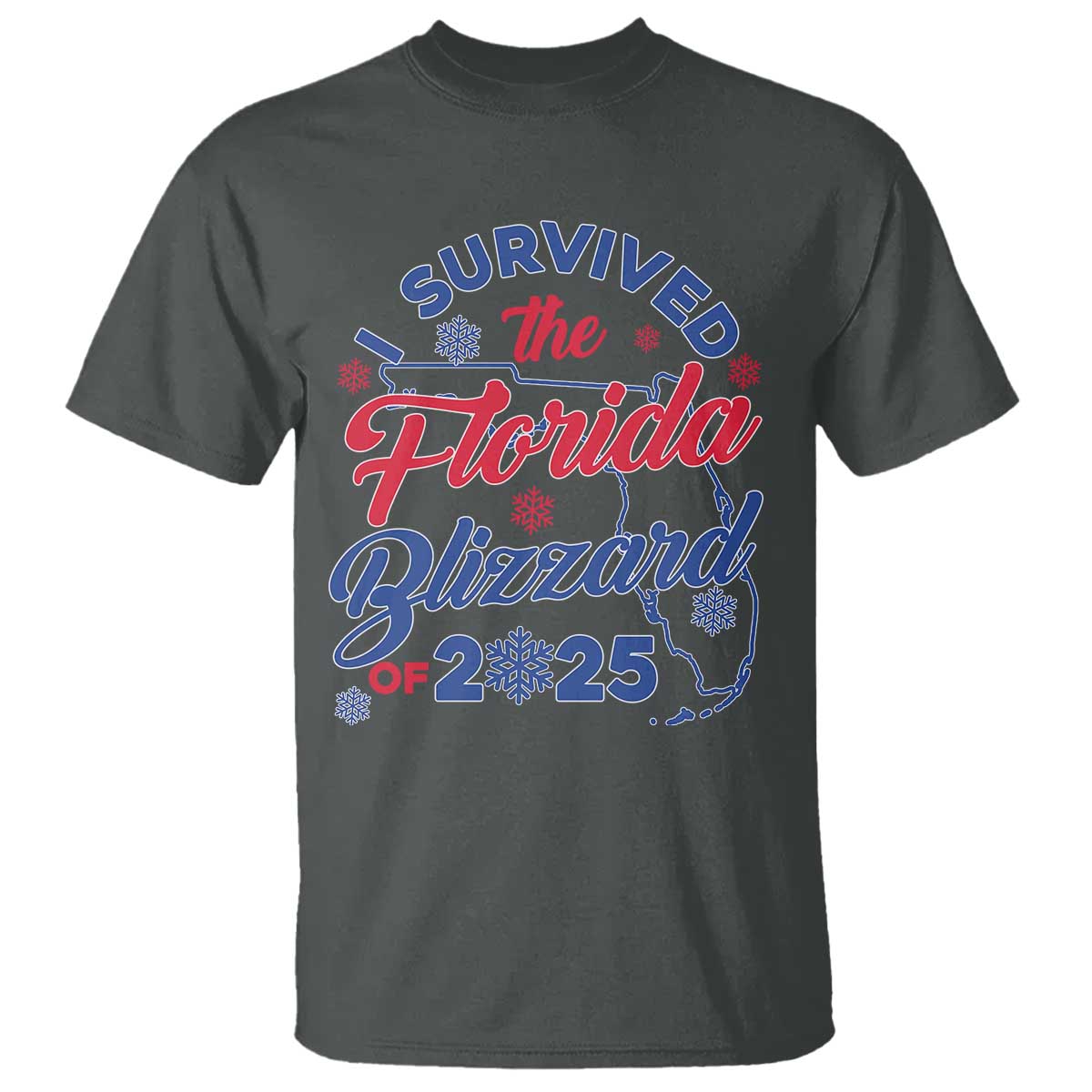 i-survived-the-florida-blizzard-of-2025-t-shirt