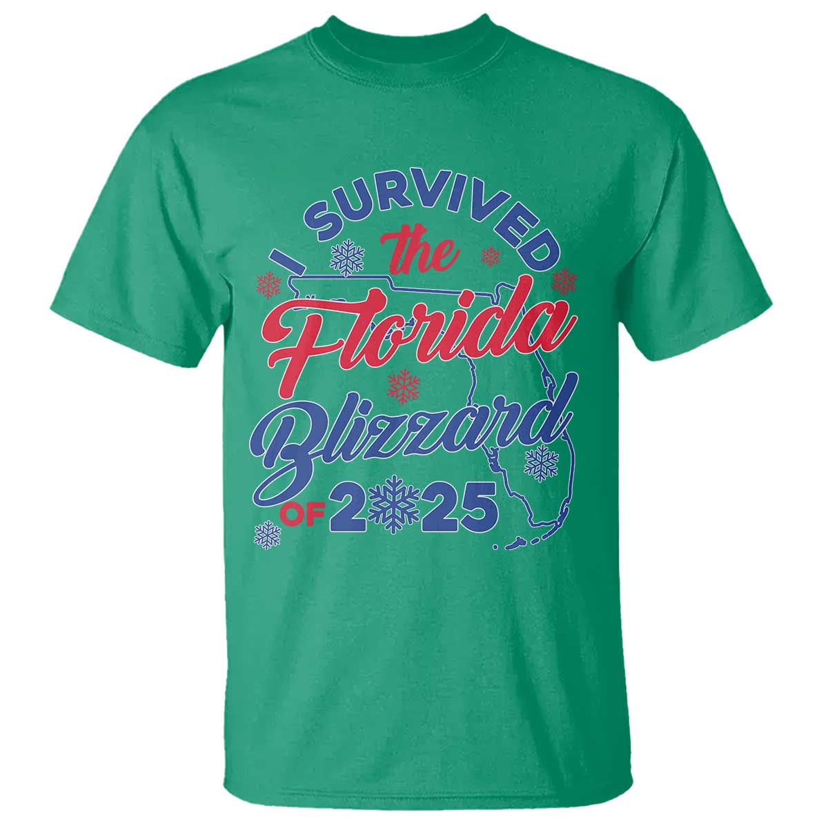 i-survived-the-florida-blizzard-of-2025-t-shirt