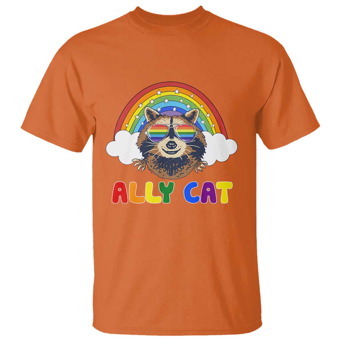 ally-street-cat-rainbow-raccoon-t-shirt-funny-lgbtq-pride-support