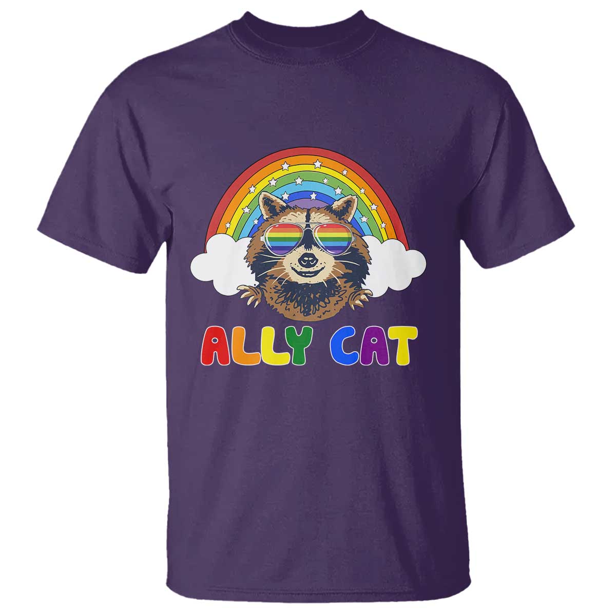 ally-street-cat-rainbow-raccoon-t-shirt-funny-lgbtq-pride-support