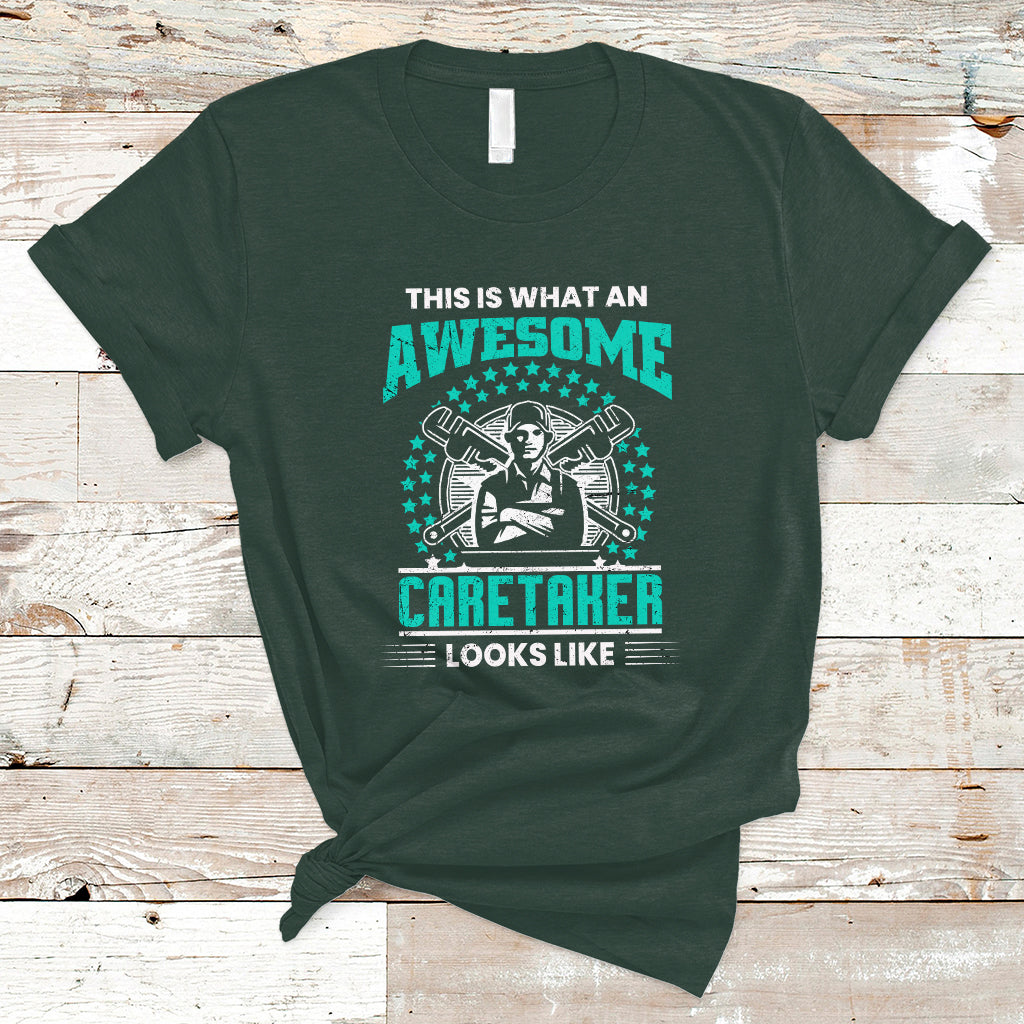 this-is-what-an-awesome-caretaker-t-shirt-ts04