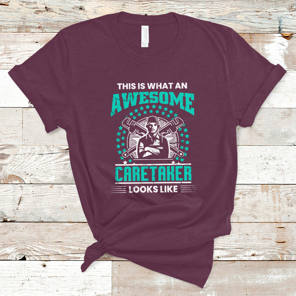 this-is-what-an-awesome-caretaker-t-shirt-ts04