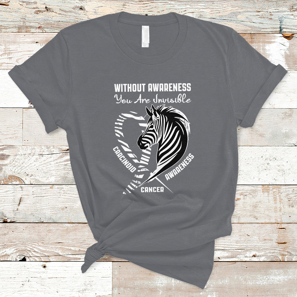 without-awareness-you-are-invisible-carcinoid-cancer-t-shirt