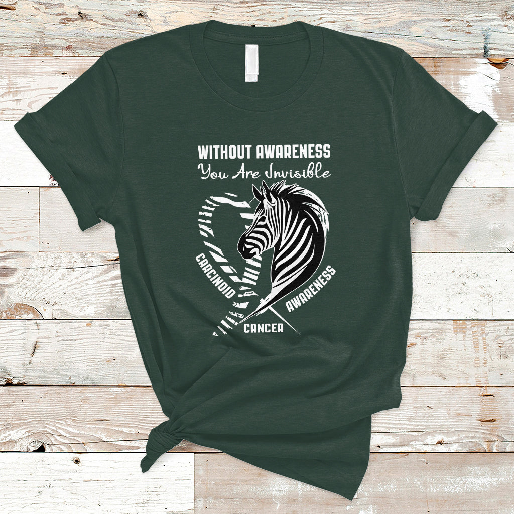 without-awareness-you-are-invisible-carcinoid-cancer-t-shirt
