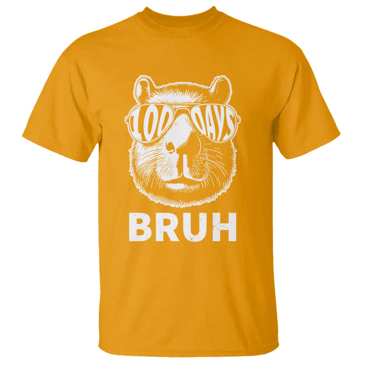 100th-day-of-school-capybara-t-shirt-100-days-bruh-cool-capy-bara