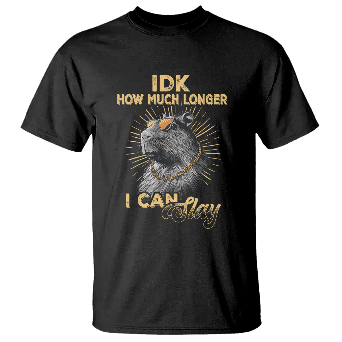 capybara-lover-t-shirt-idk-how-much-longer-i-can-slay-cool-capy