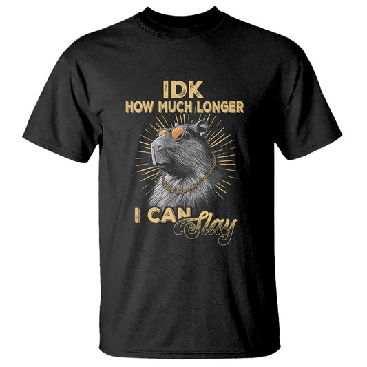 capybara-lover-t-shirt-idk-how-much-longer-i-can-slay-cool-capy