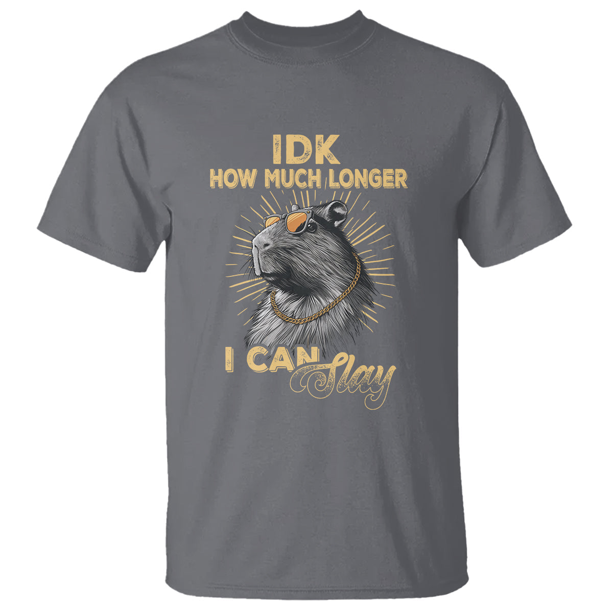 capybara-lover-t-shirt-idk-how-much-longer-i-can-slay-cool-capy