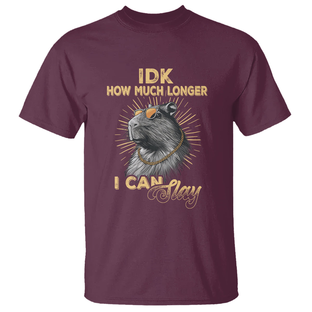 capybara-lover-t-shirt-idk-how-much-longer-i-can-slay-cool-capy
