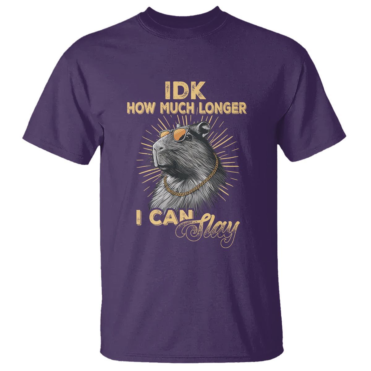 capybara-lover-t-shirt-idk-how-much-longer-i-can-slay-cool-capy