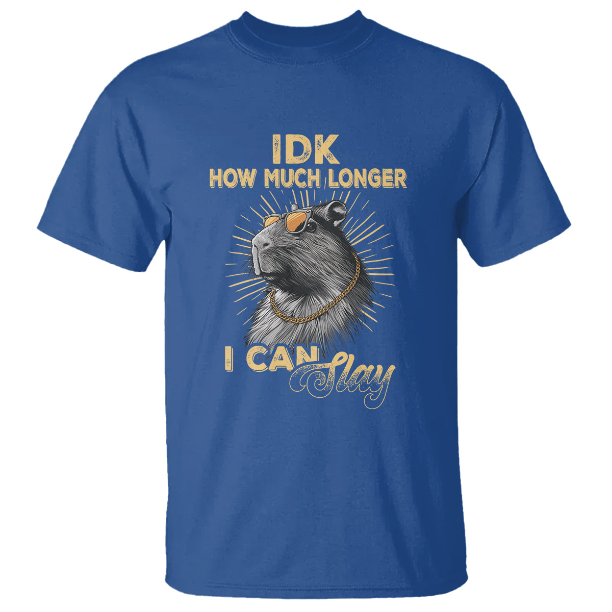 capybara-lover-t-shirt-idk-how-much-longer-i-can-slay-cool-capy