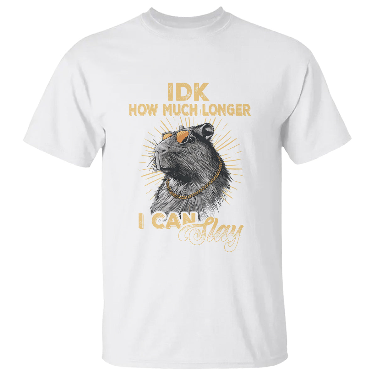 capybara-lover-t-shirt-idk-how-much-longer-i-can-slay-cool-capy
