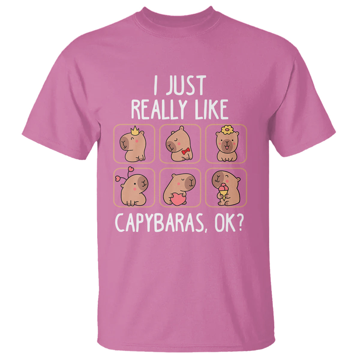 capybara-lover-t-shirt-i-just-really-like-capybaras-cute-capy