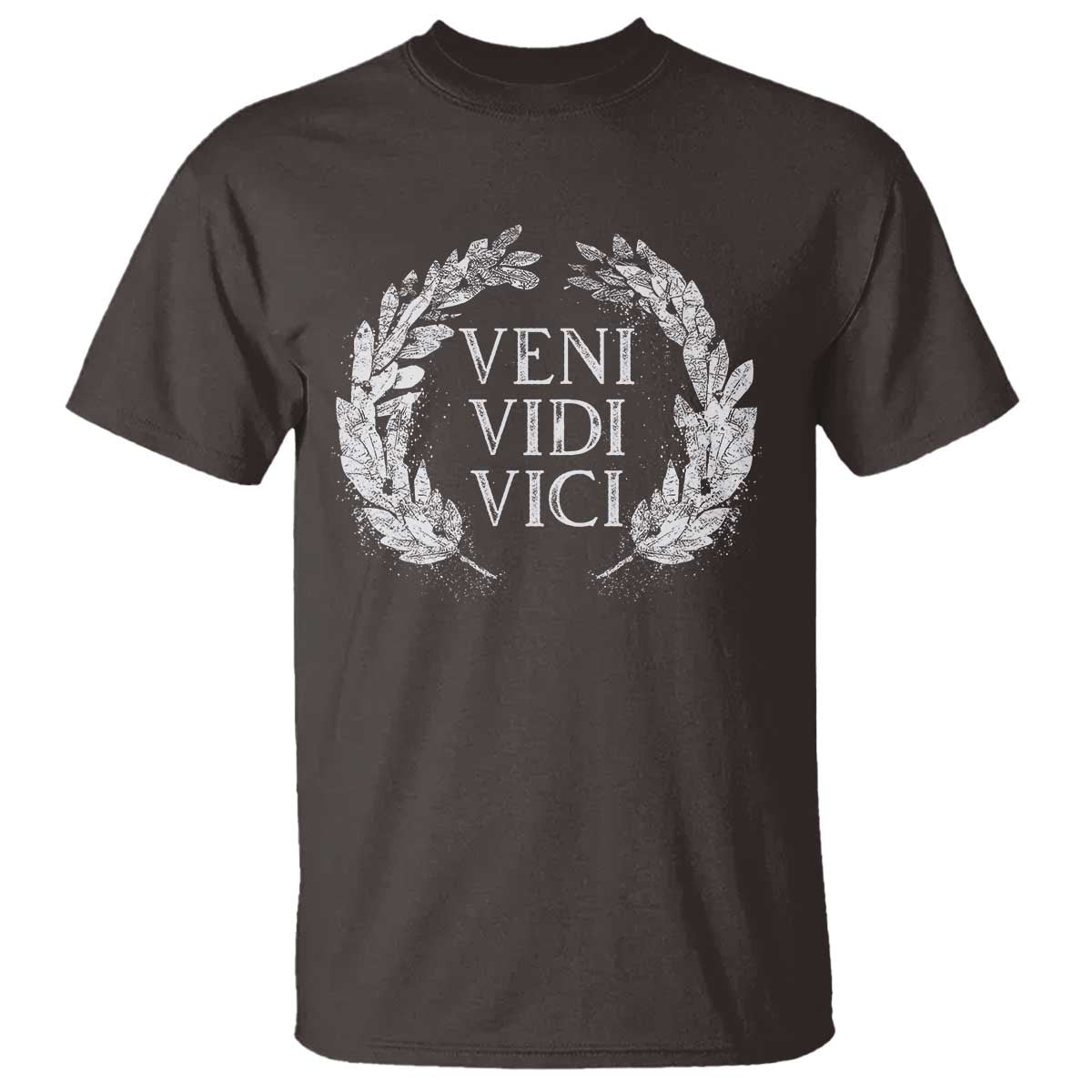 julius-caesar-veni-vidi-vici-t-shirt-latin-roman-history