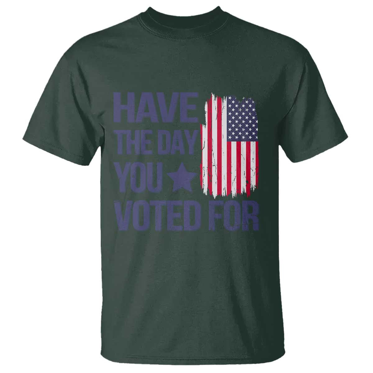 have-the-day-you-voted-for-t-shirt-america-2025