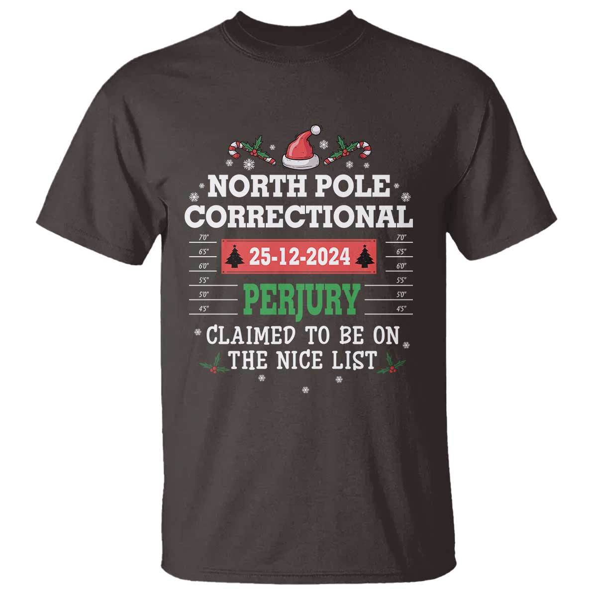 funny-christmas-family-matching-t-shirt-north-pole-correctional-perjury