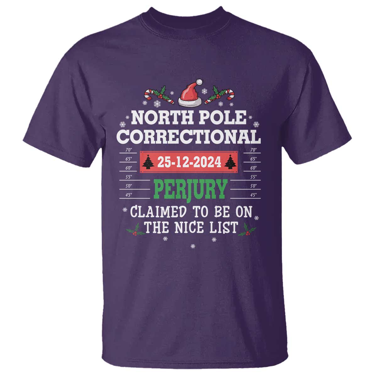 funny-christmas-family-matching-t-shirt-north-pole-correctional-perjury