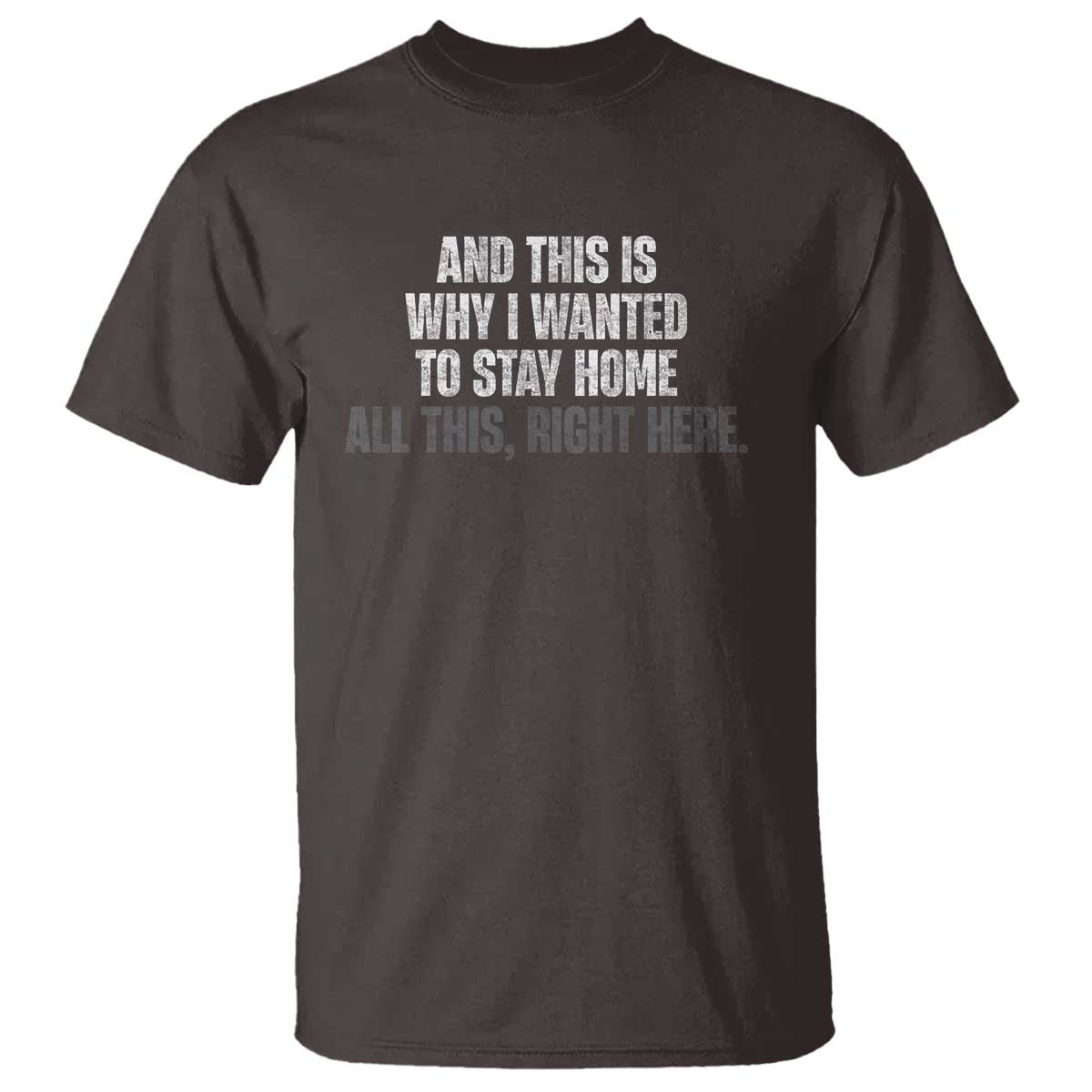 funny-and-this-is-why-i-wanted-to-stay-home-t-shirt-all-this-right-here
