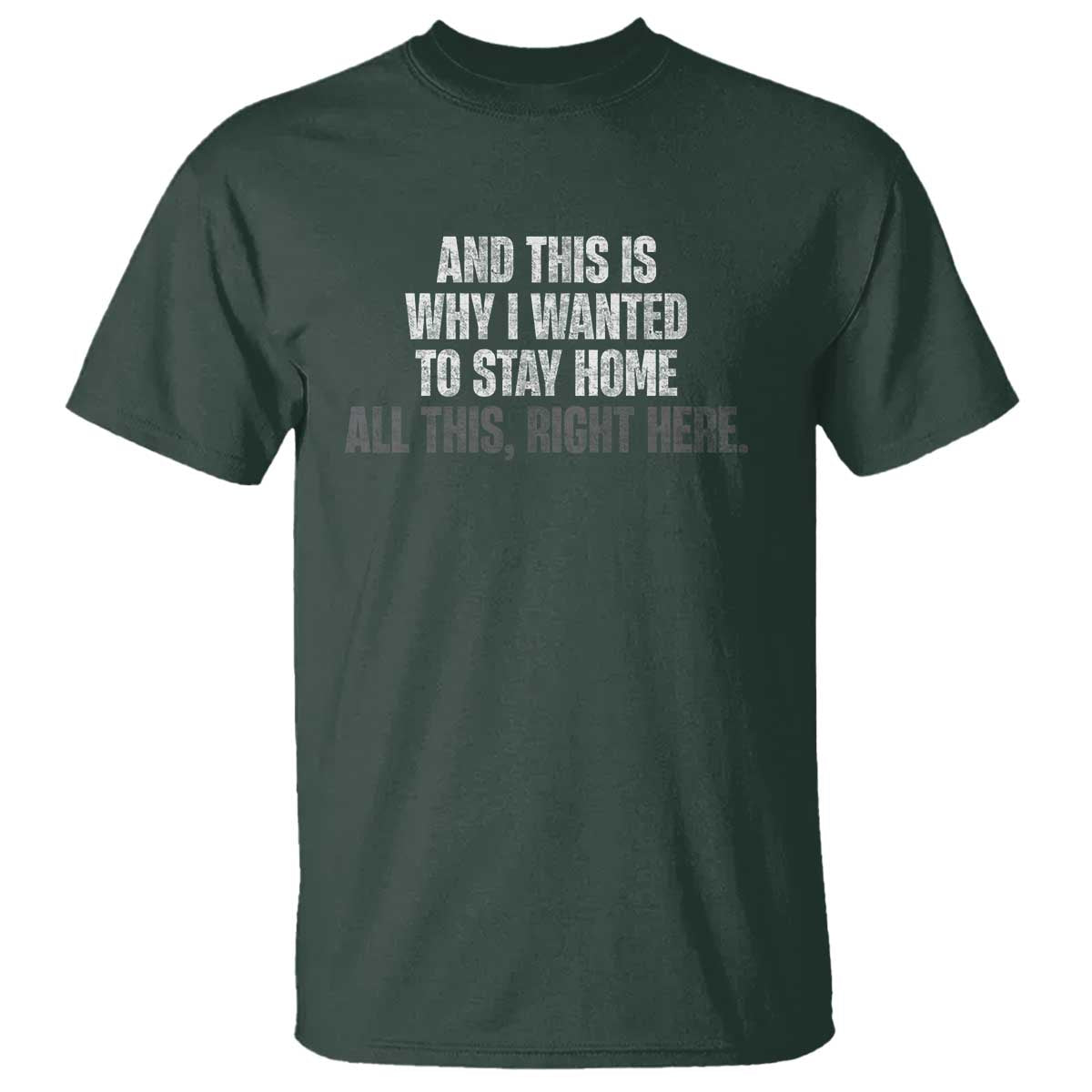 funny-and-this-is-why-i-wanted-to-stay-home-t-shirt-all-this-right-here