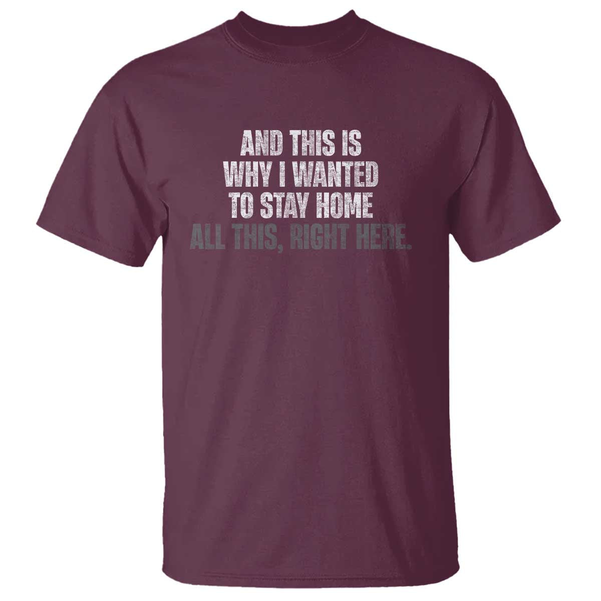 funny-and-this-is-why-i-wanted-to-stay-home-t-shirt-all-this-right-here