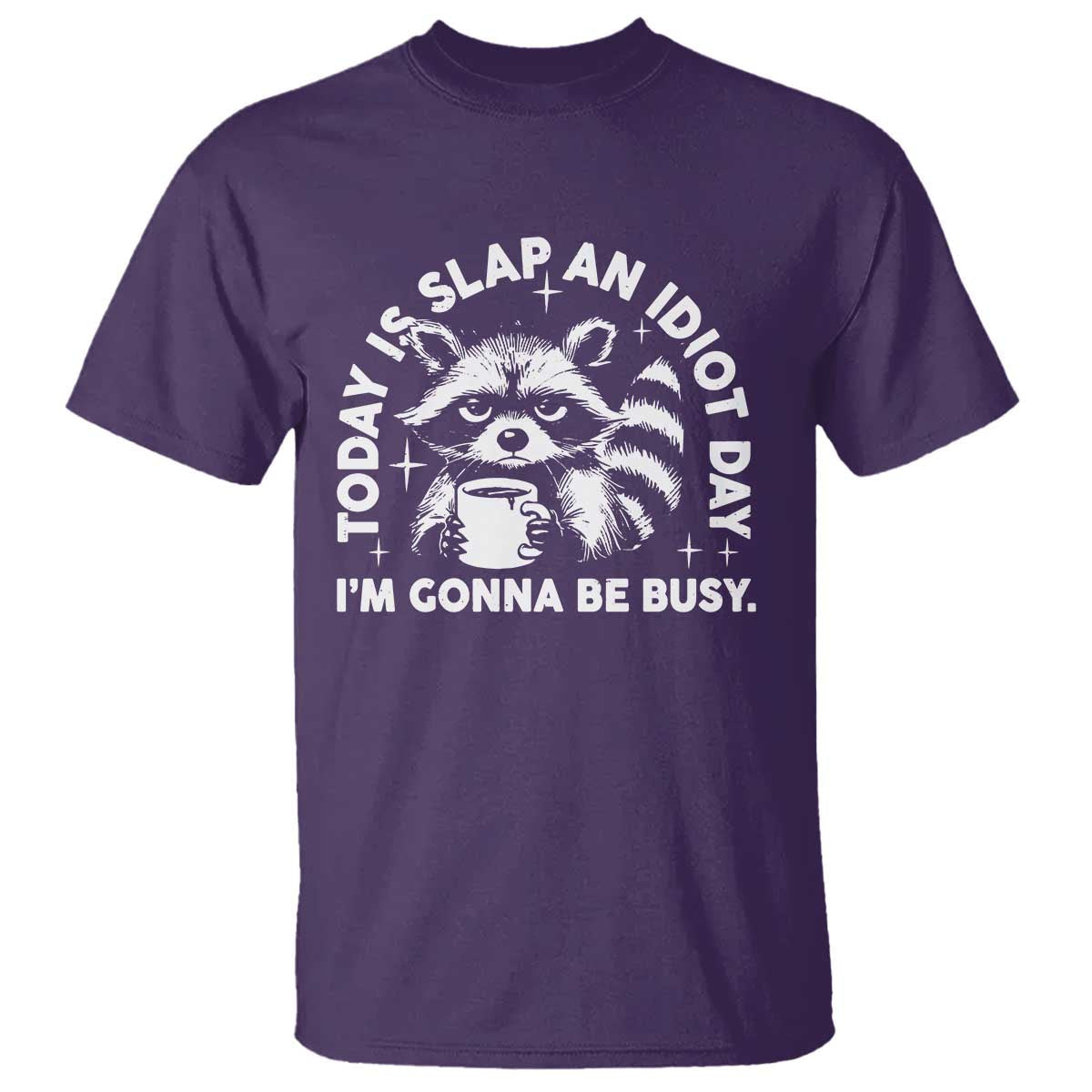 funny-raccoon-today-is-slap-an-idiot-day-t-shirt