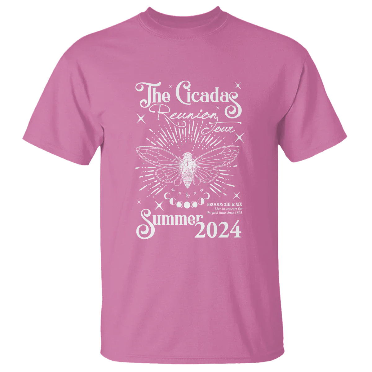 the-cicada-reunion-us-tour-2024-t-shirt-broods-xiii-xix-cicadas-concert-fest