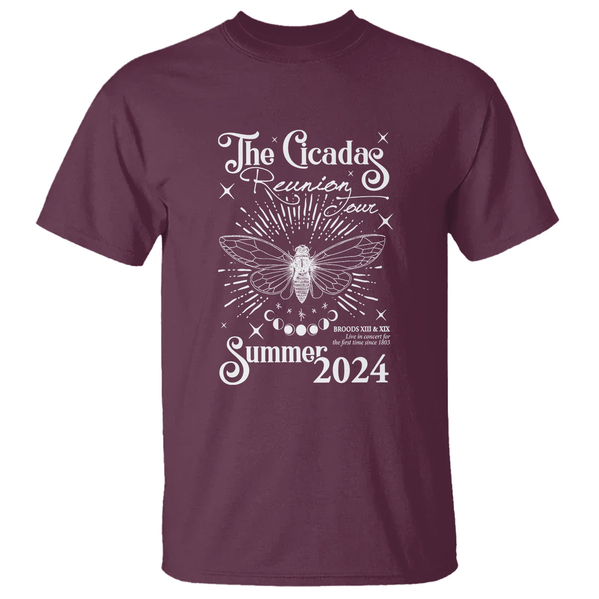 the-cicada-reunion-us-tour-2024-t-shirt-broods-xiii-xix-cicadas-concert-fest