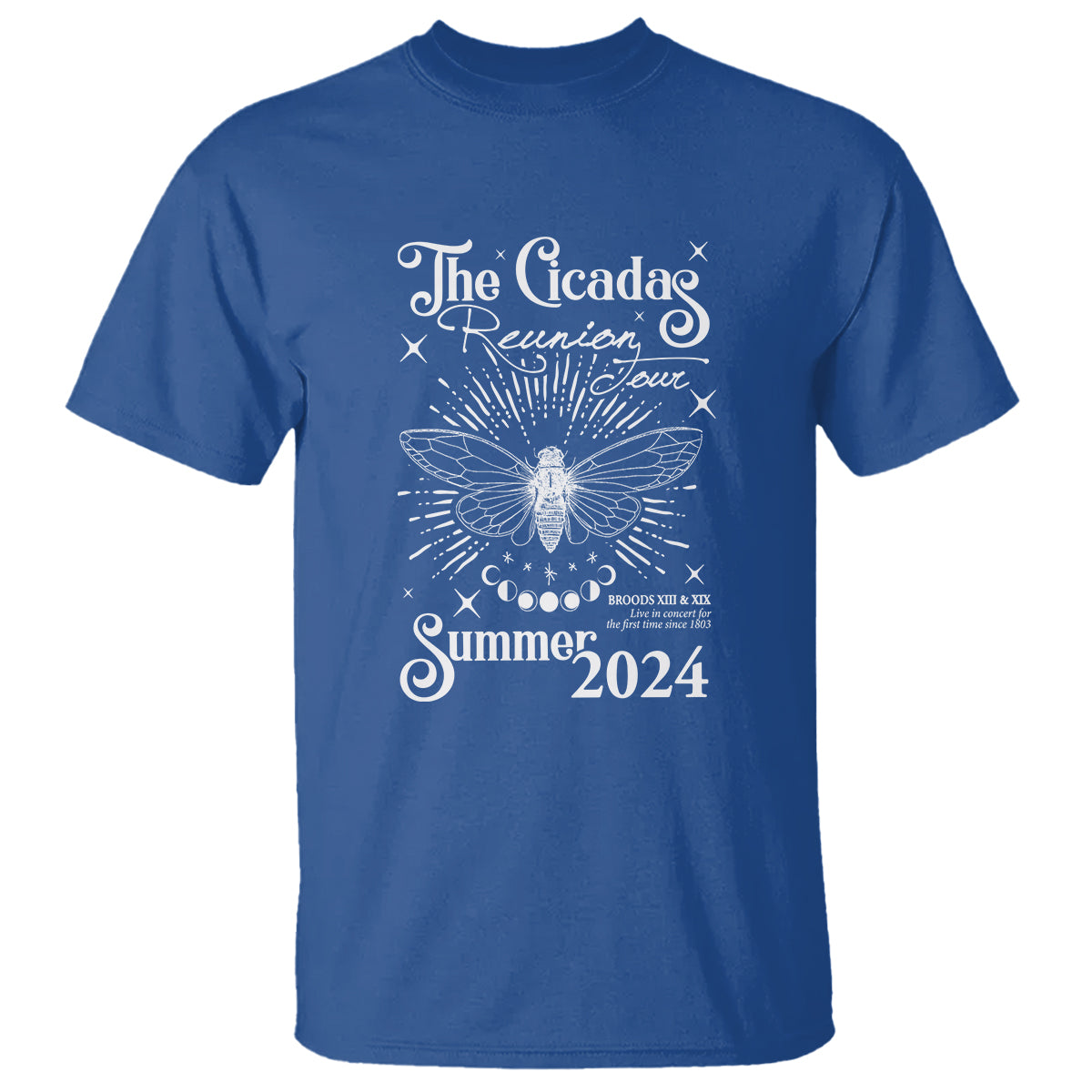 the-cicada-reunion-us-tour-2024-t-shirt-broods-xiii-xix-cicadas-concert-fest
