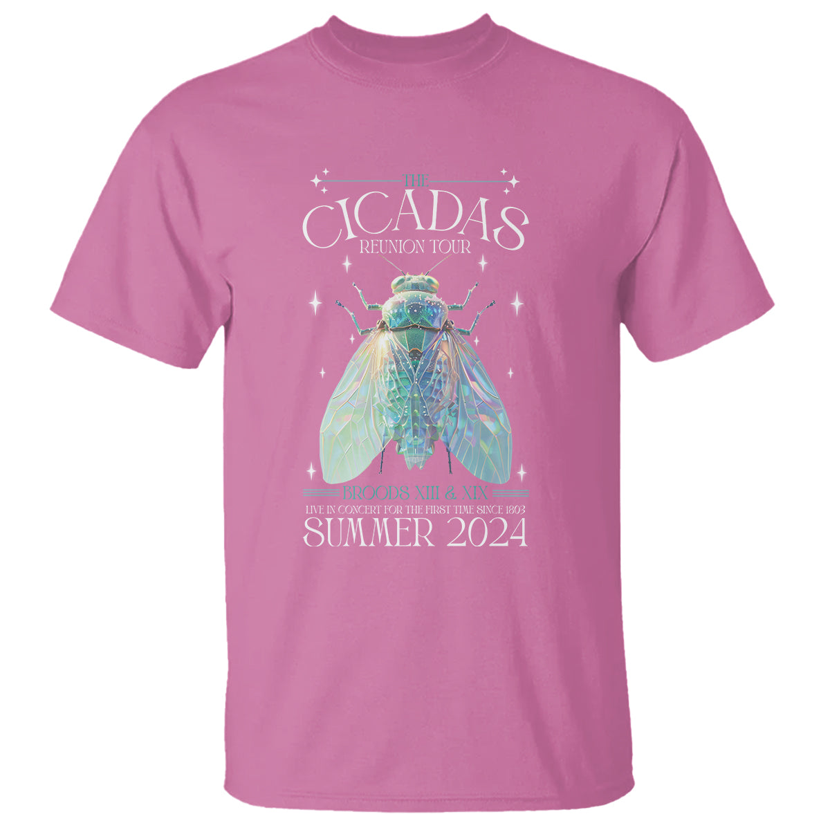 the-cicada-reunion-us-tour-2024-t-shirt-broods-xiii-xix-cicadas-concert-fest-1