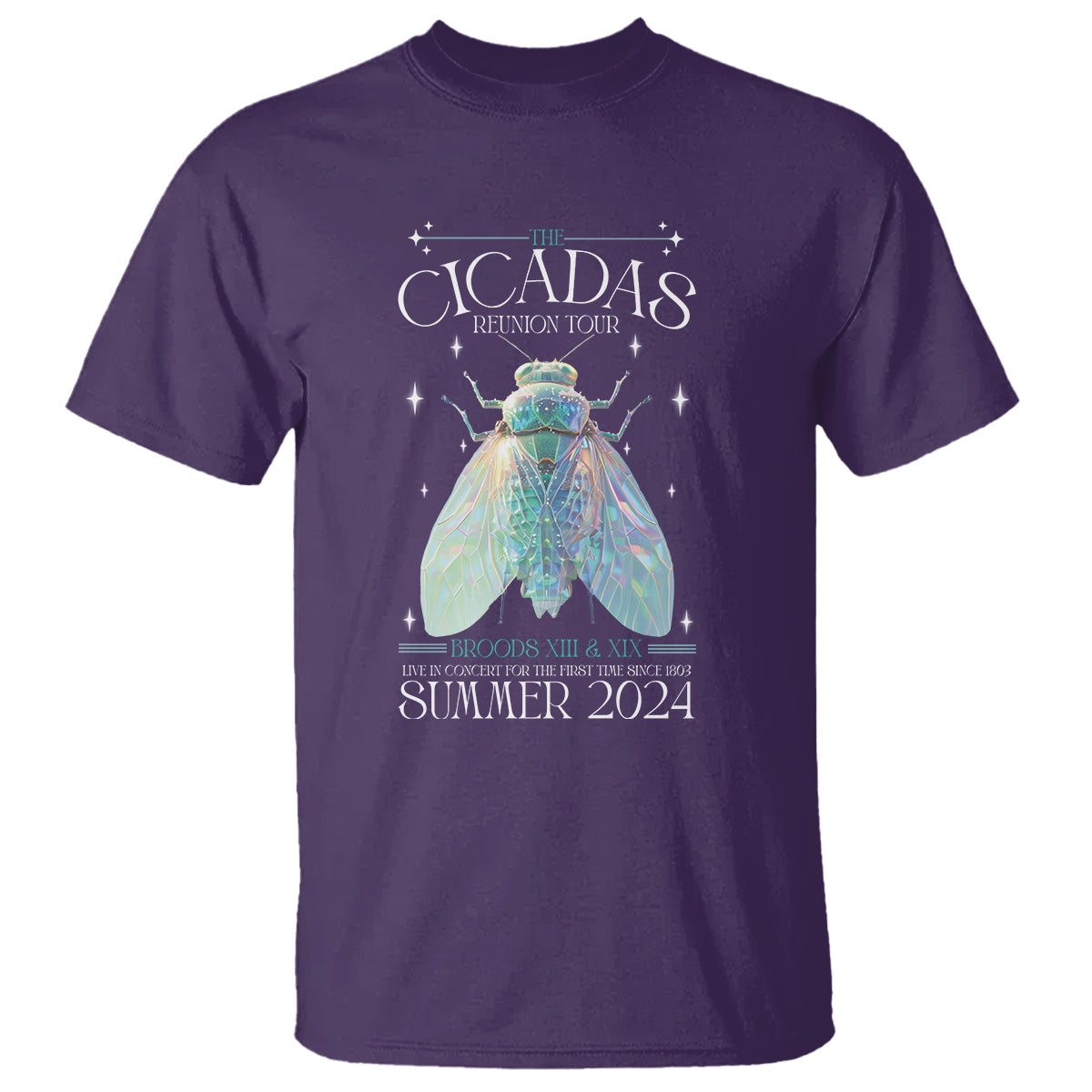 the-cicada-reunion-us-tour-2024-t-shirt-broods-xiii-xix-cicadas-concert-fest-1