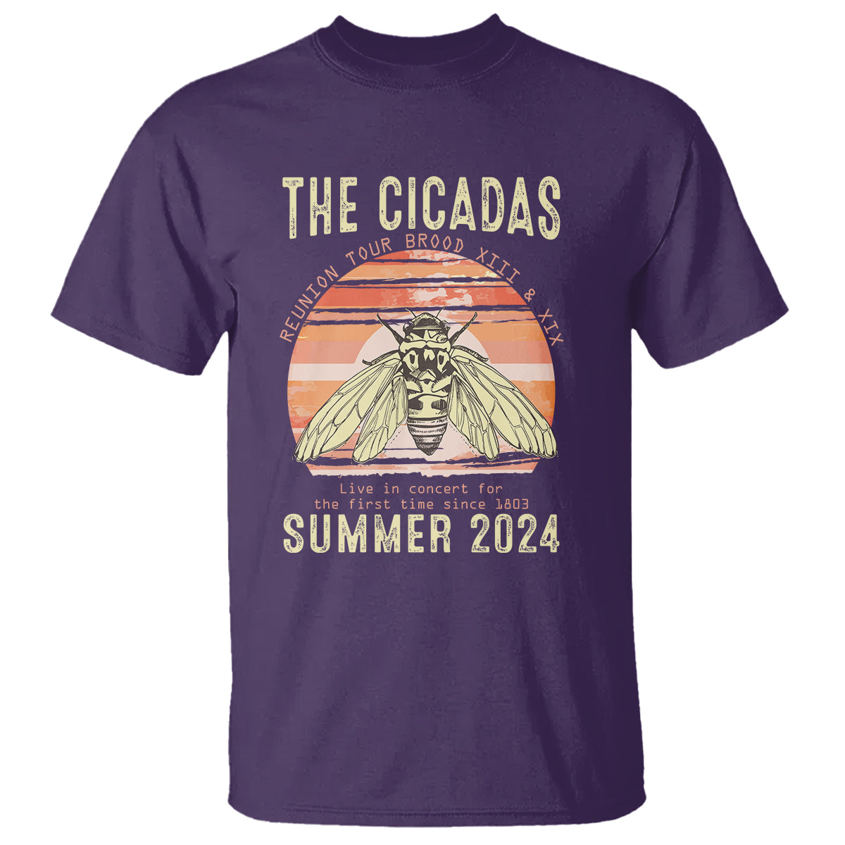 the-cicada-reunion-us-tour-2024-t-shirt-broods-xiii-xix-summer-cicadas-concert-fest