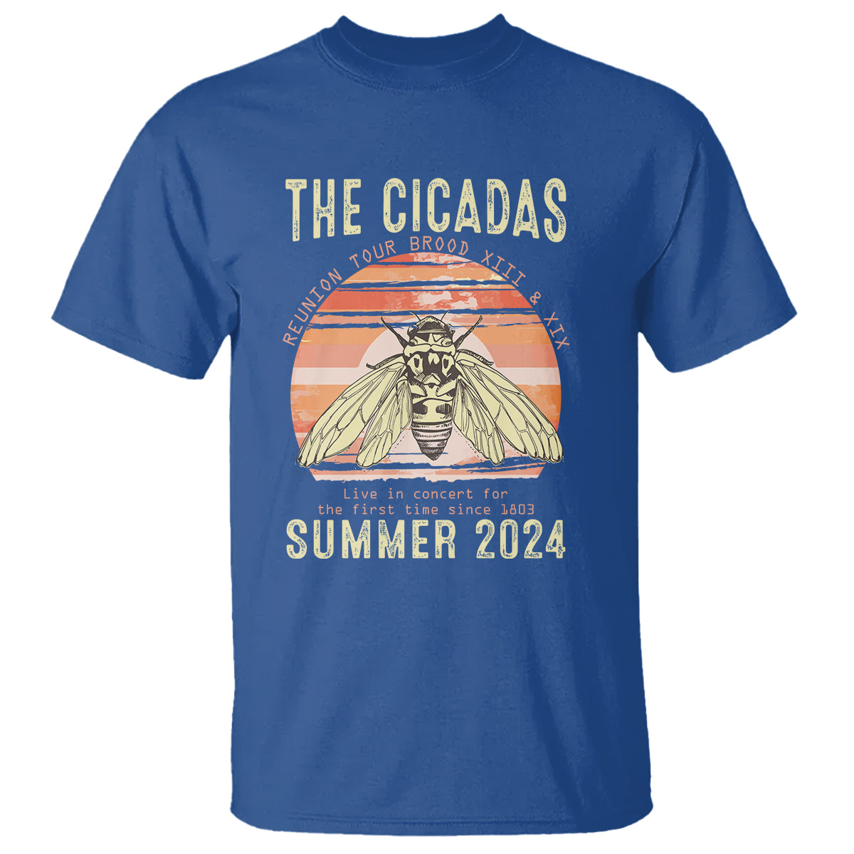 the-cicada-reunion-us-tour-2024-t-shirt-broods-xiii-xix-summer-cicadas-concert-fest