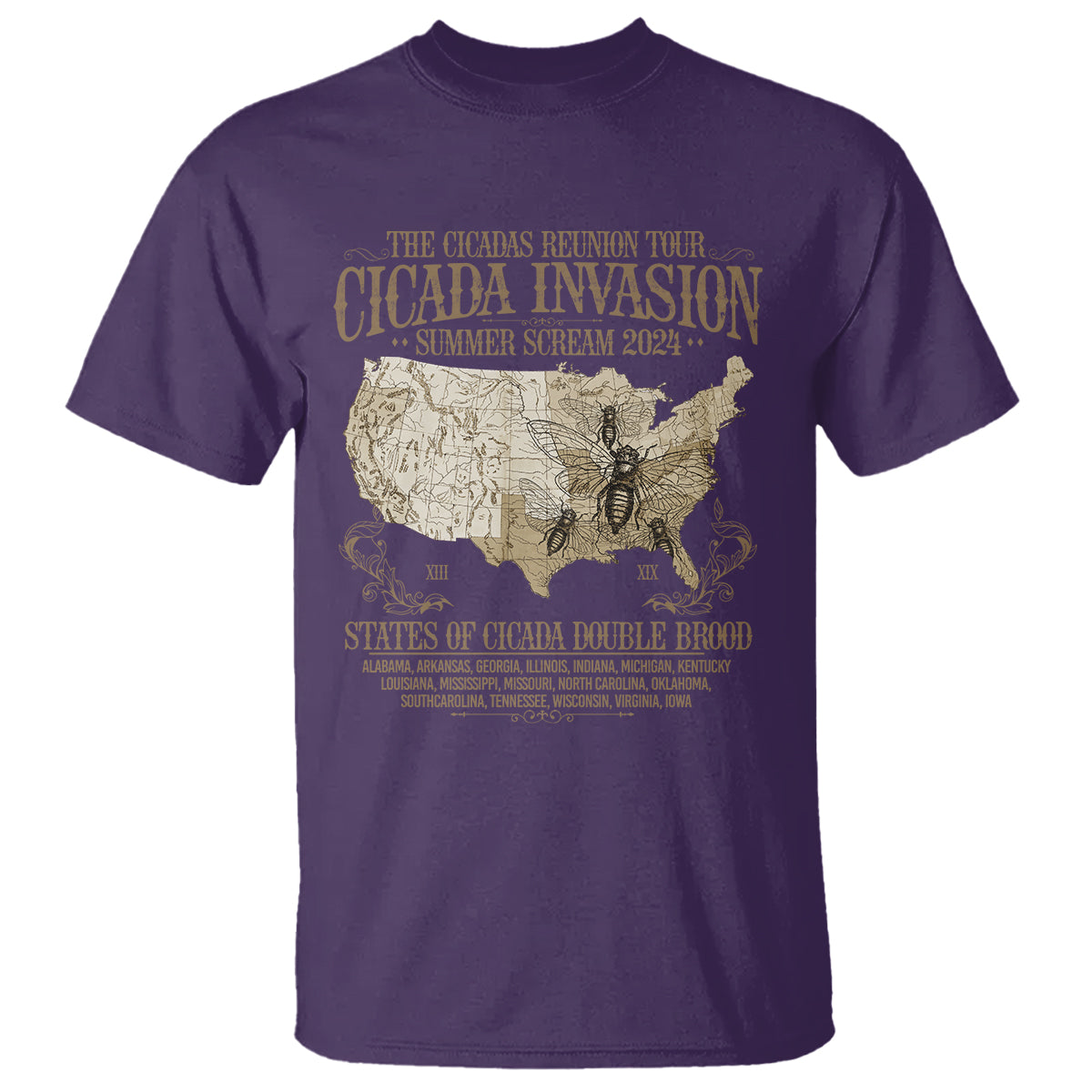 the-cicada-reunion-us-tour-2024-t-shirt-states-of-cicada-double-brood-xiii-xix-american-map