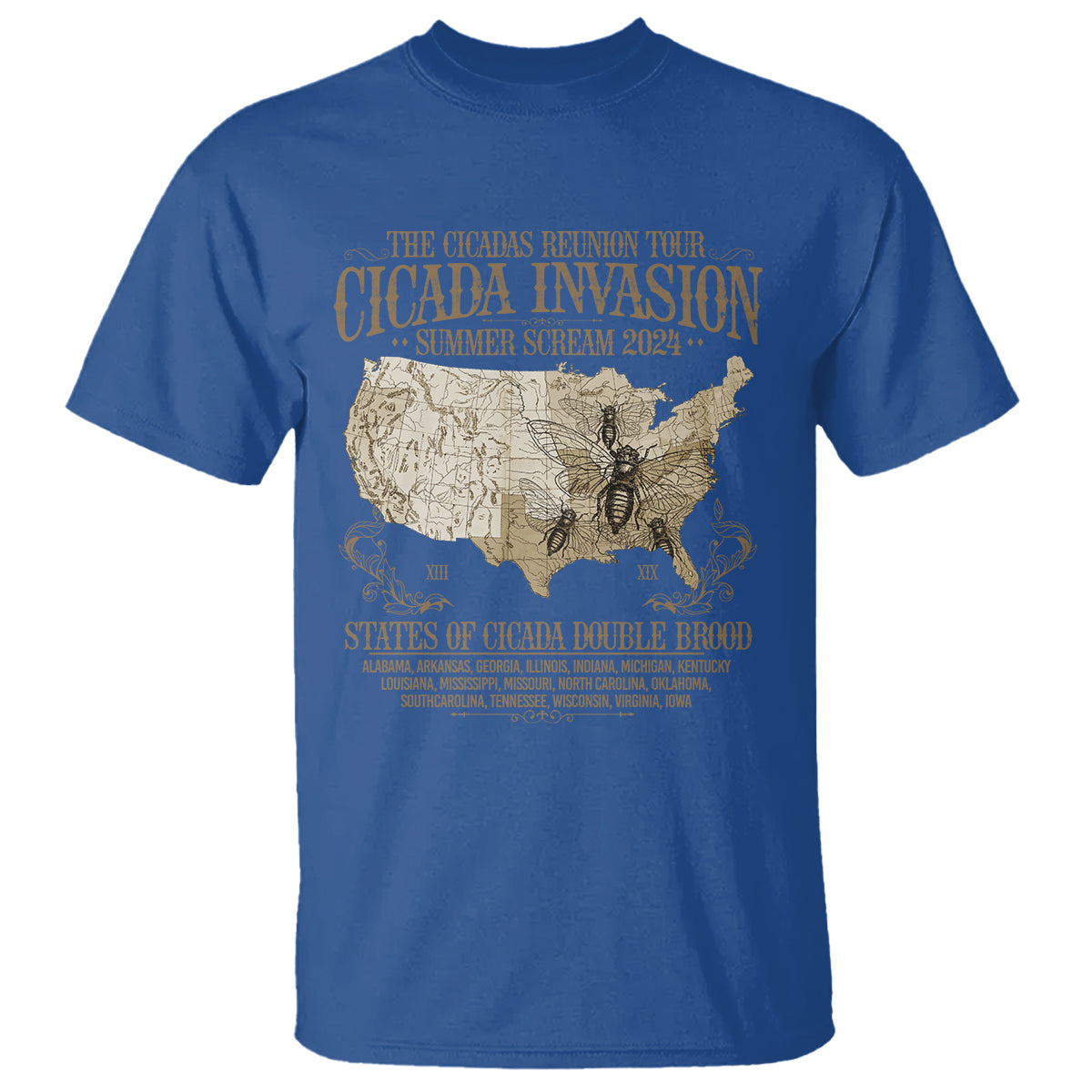 the-cicada-reunion-us-tour-2024-t-shirt-states-of-cicada-double-brood-xiii-xix-american-map