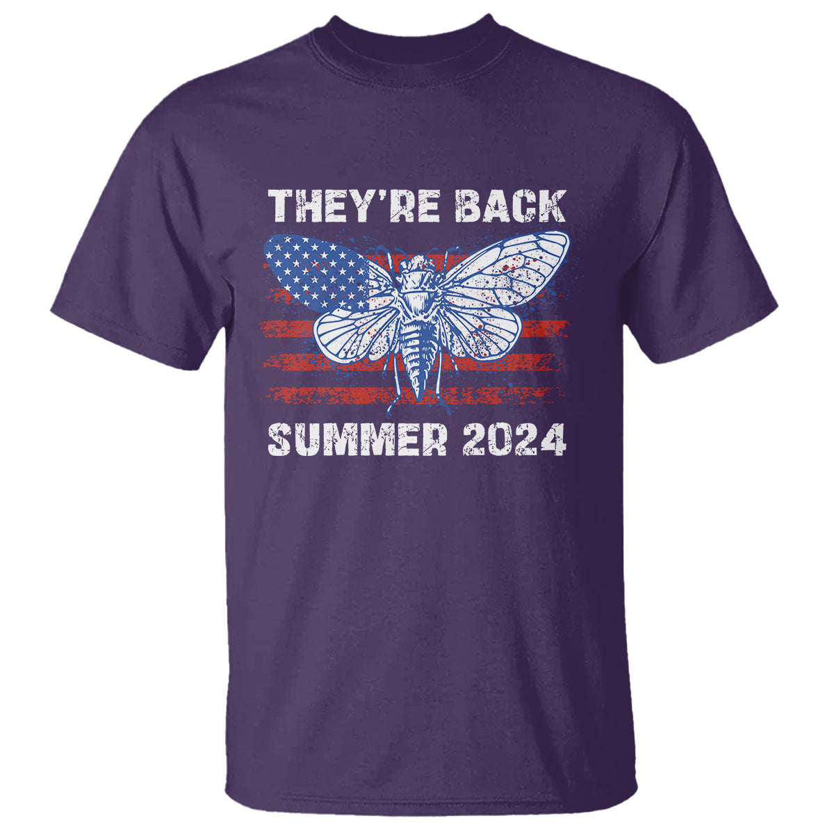 cicada-invasion-us-tour-theyre-back-summer-2024-t-shirt