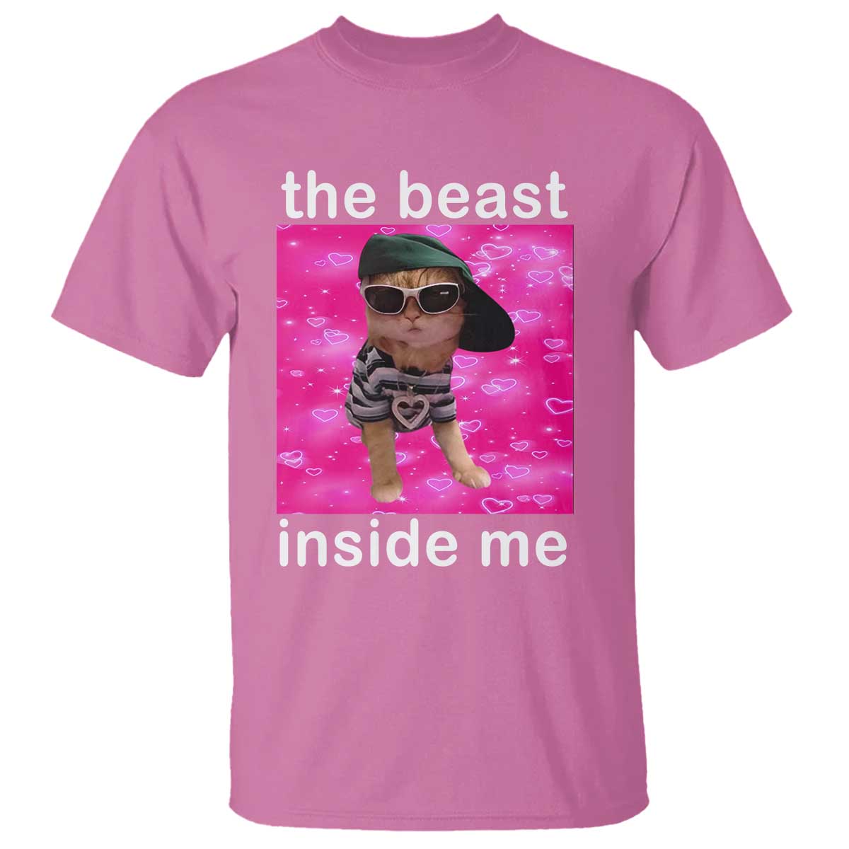 funny-cat-meme-t-shirt-the-beast-inside-me