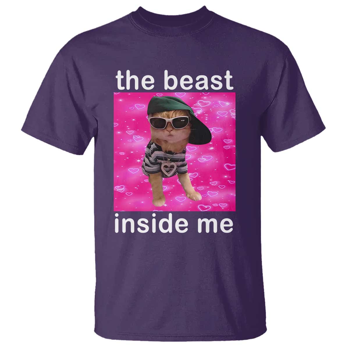 funny-cat-meme-t-shirt-the-beast-inside-me
