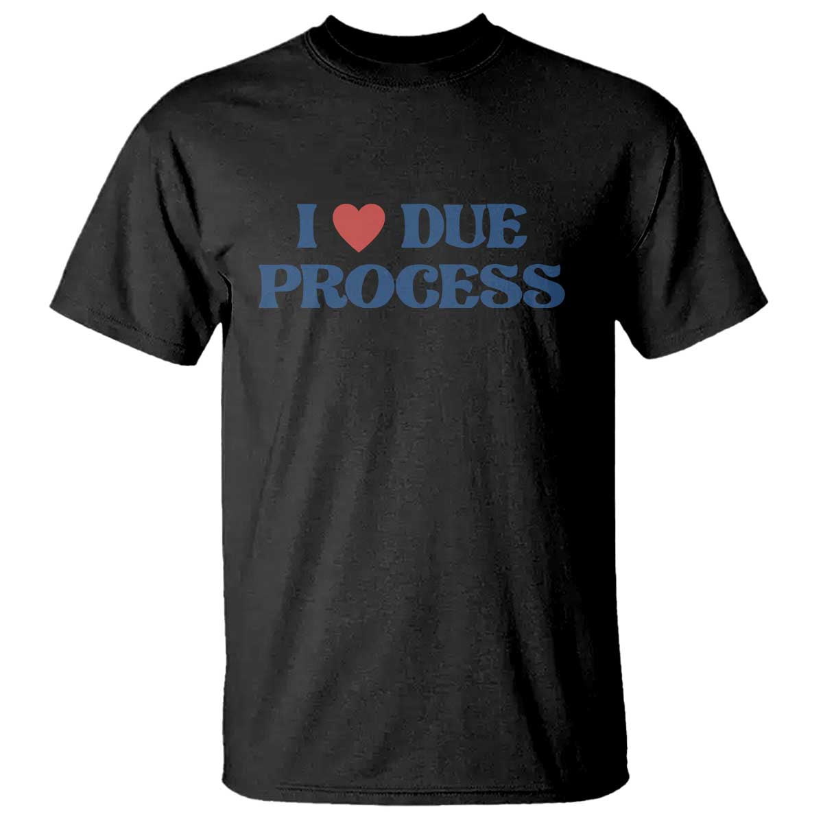 i-love-due-process-t-shirt-pro-immigration-immigrants-feed-america