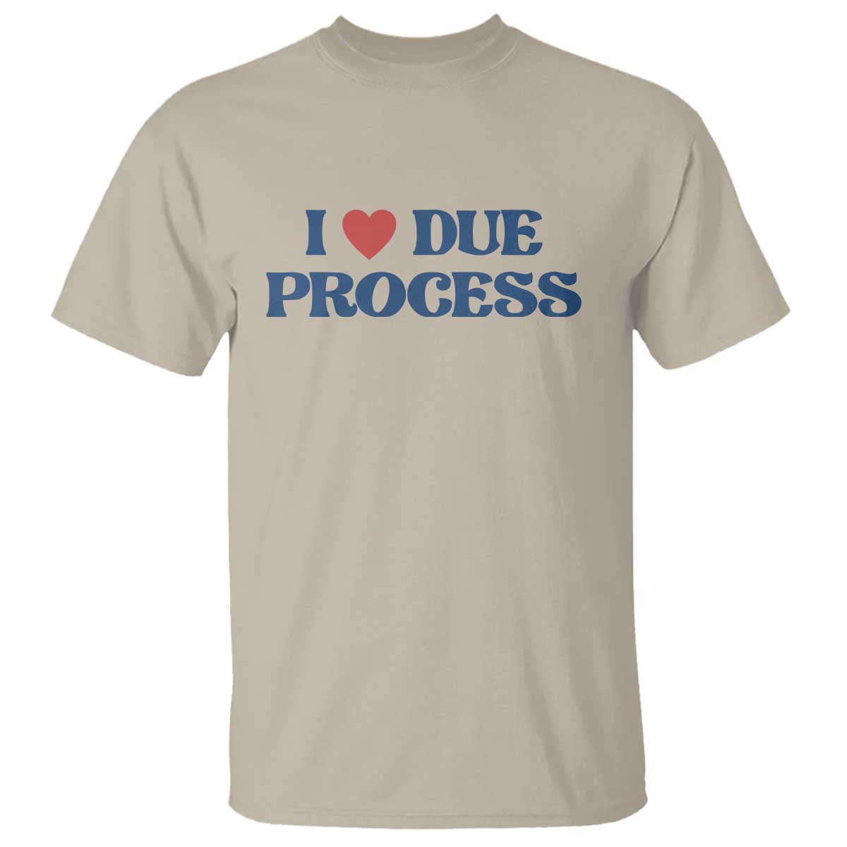 i-love-due-process-t-shirt-pro-immigration-immigrants-feed-america