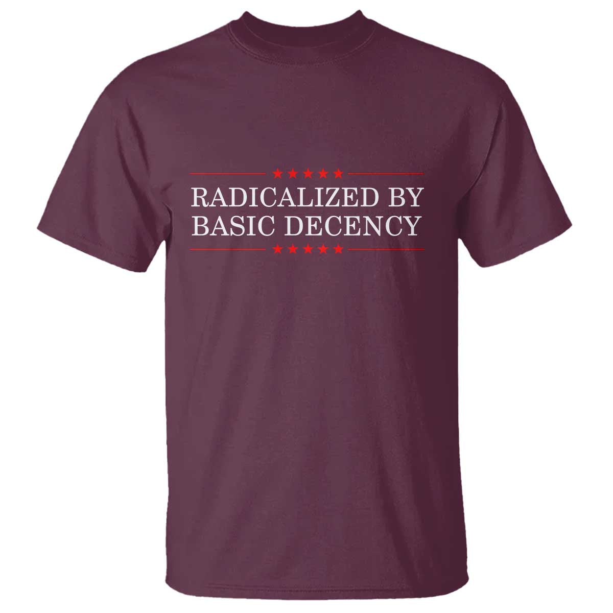 radicalized-by-basic-decency-t-shirt-feminist-activist-protest